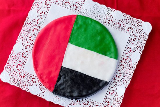 47th uae national day vector